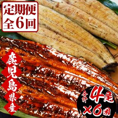 ふるさと納税 いちき串木野市 [6か月定期便]国産(鹿児島県産)うなぎの蒲焼・白焼き食べ比べ堪能セット