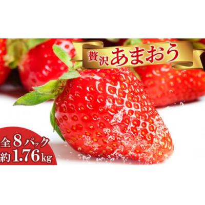 ふるさと納税 小郡市 いちご 贅沢 あまおう 8パック 総重量 約1.7kg[No5354-0503]