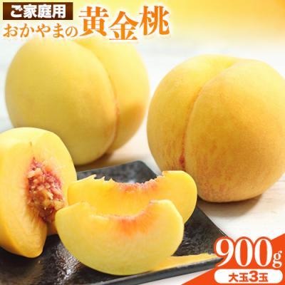 ふるさと納税 笠岡市 ご家庭用 おかやまの黄金桃 大玉3玉(1玉約300g)令和8年産先行受付 A-178b