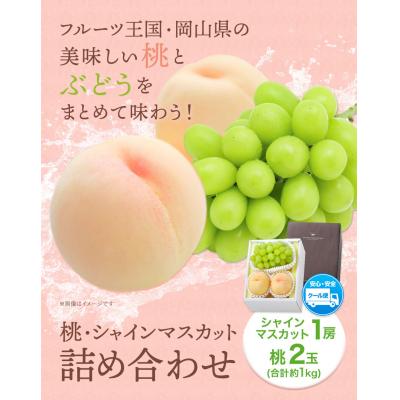 ふるさと納税 笠岡市 桃・シャインマスカット詰め合わせ 令和8年産先行受付