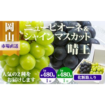 ふるさと納税 和気町 [令和8年発送・先行受付]岡山県産 詰合/ニューピオーネ・シャインマスカット晴王 Cz-7