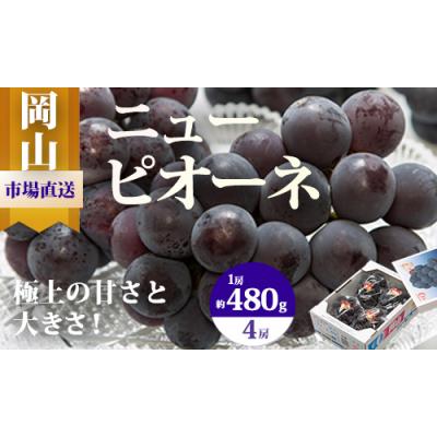 ふるさと納税 和気町 [令和8年発送・先行受付]岡山県産 ニューピオーネ 4房 pp-59