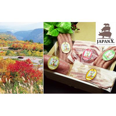 ふるさと納税 蔵王町 JAPAN X ハム・ベーコン&amp;ウィンナーセット/計1140g [04301-0052]