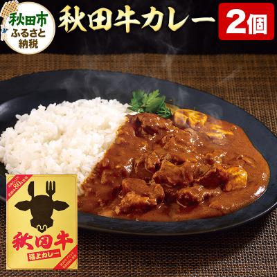 ふるさと納税 秋田市 秋田牛極上カレー 200g×2個 ビーフカレー|15_asr-050201