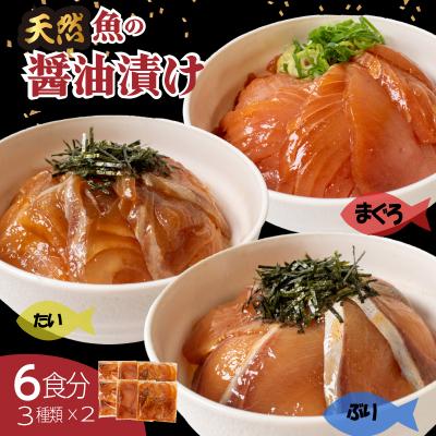 ふるさと納税 下関市 漬け丼 セット 計 6食分 冷凍 マグロ タイ ブリ 詰め合わせ 刺身 海鮮
