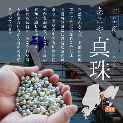 ふるさと納税 天草市 あこや真珠 ナチュラル 8.5-9mm 1粒 ペンダントトップ チェーンなし_S101-376_2