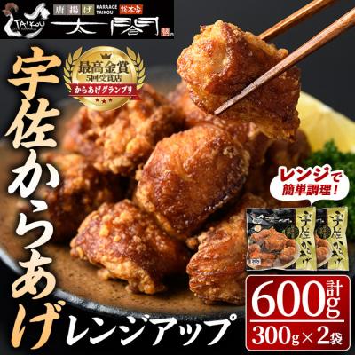 ふるさと納税 宇佐市 宇佐からあげ太閤レンジアップ(計600g・300g×2袋)[101100300][太閤]