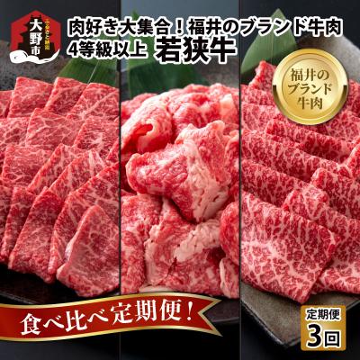 ふるさと納税 大野市 [肉の定期便×3回コース]肉好き大集合!若狭牛 食べ比べ 定期便![福井のブランド牛肉]