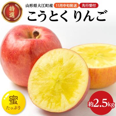 ふるさと納税 大江町 [先行受付]特選こうとくりんご約2.5kg [2026年11月中旬頃〜発送予定]028-024