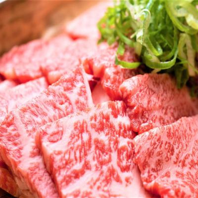 ふるさと納税 神埼市 【A4〜A5】佐賀牛焼肉用 500g(H112111) |  | 03
