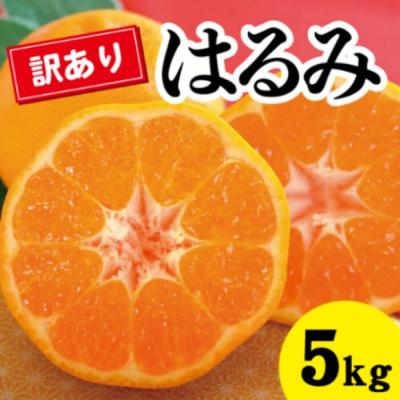 ふるさと納税 三原市 [先行受付]甘くてジューシー!瀬戸内さぎしまの訳ありはるみ 約5kg[017-051]