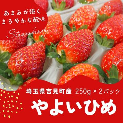 ふるさと納税 吉見町 特選「吉見いちご」[やよいひめ]