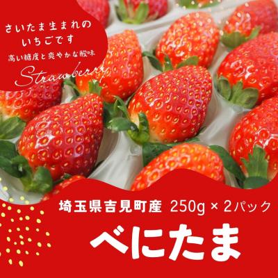 ふるさと納税 吉見町 特選「吉見いちご」[べにたま]
