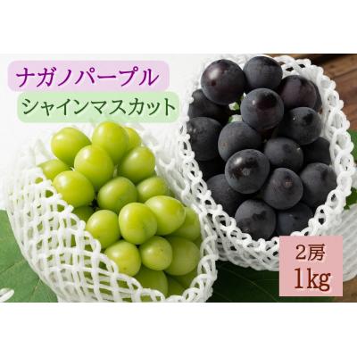 ふるさと納税 東広島市 [2026年発送分先行受付]ナガノパープル・シャインマスカット 2房(約1kg)[配送時期8月下旬]