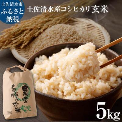 ふるさと納税 土佐清水市 令和8年8月〜発送 新米 コシヒカリ 玄米 5kg 高知産 きれいな水育ち 米[R01615]