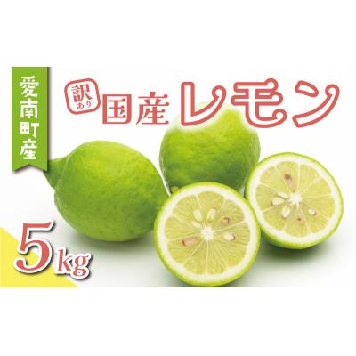 ふるさと納税 愛南町 訳あり レモン 5kg 国産 檸檬 れもん 柑橘 数量限定 特産品 くらもとファーム 愛南町 愛媛県