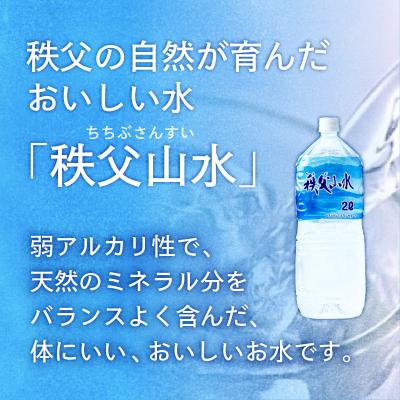 ふるさと納税 横瀬町 【定期便】秩父の天然水「秩父山水」2L×20本×3回_1