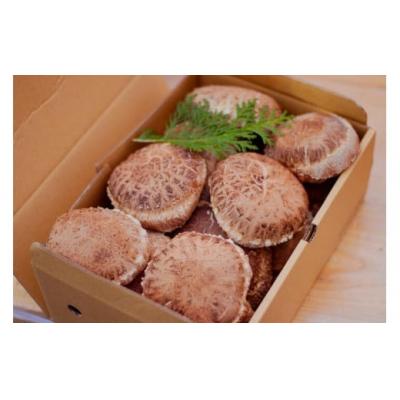 ふるさと納税 横瀬町 特選原木しいたけ(1.0kg)〜「日本農業賞」大賞受賞の農園〜