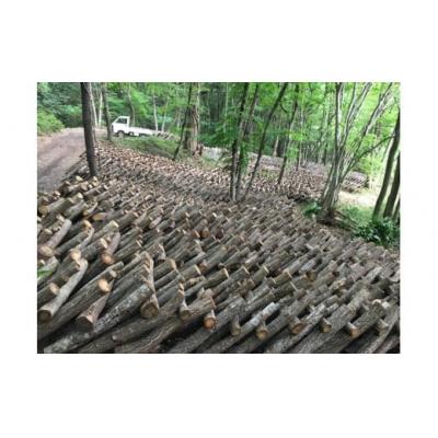 ふるさと納税 横瀬町 【規格外・訳あり】原木栽培の天然しいたけ〜「日本農業賞」大賞受賞の農園〜_2