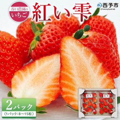ふるさと納税 西予市 2025年発送<谷口農園のいちご「紅い雫」約500g(約250g×2パック)西予市 宇和町産> イチ