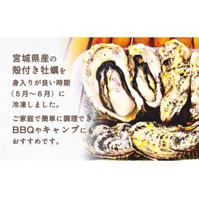 ふるさと納税 石巻市 レンジで簡単調理 殻付きかきレンジ5P 簡単調理 BBQ 牡蠣カキ 蒸し牡蠣 三陸 海鮮 魚介 海鮮_2