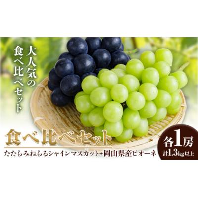 ふるさと納税 笠岡市 たたらみねらるシャインマスカット+岡山県産ピオーネ1.3kg以上各1房 (2026年産先行受付)