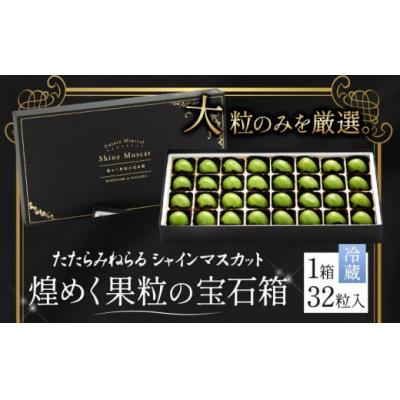 ふるさと納税 笠岡市 たたらみねらるシャインマスカット煌めく果粒の宝石箱(2026年産先行受付)1-43a