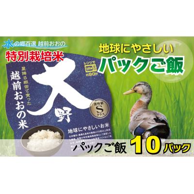 ふるさと納税 大野市 地球にやさしいパックご飯 10食入り[白米] 「特別栽培米」-地球にやさしいお米-