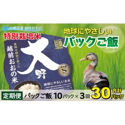 ふるさと納税 大野市 [3ヶ月定期便]地球にやさしいパックご飯 10食入り[白米]× 3回 計30食