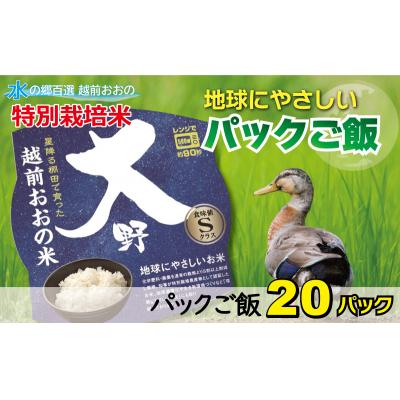 ふるさと納税 大野市 地球にやさしいパックご飯 20食入り[白米] 「特別栽培米」-地球にやさしいお米-