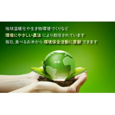ふるさと納税 大野市 【3ヶ月定期便】地球にやさしいパックご飯 30食入り【白米】× 3回 計90食