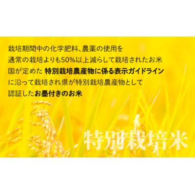 ふるさと納税 大野市 【3ヶ月定期便】地球にやさしいパックご飯 30食入り【白米】× 3回 計90食