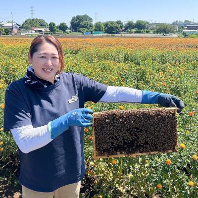 ふるさと納税 滑川町 滑川町産完熟生はちみつ 百花蜜(非加熱蜂蜜) 450g×1個|19_hbb-040101 |  | 02