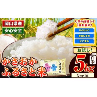 ふるさと納税 笠岡市 [令和8年3月発送]令和7年産 備中笠岡ふるさと米5kg