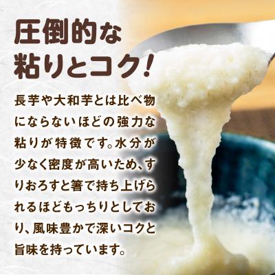 ふるさと納税 大館市 冷凍とろろ1キロセット(50g×20袋) |  | 02