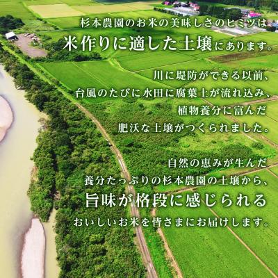 ふるさと納税 知内町 【令和7年産】【定期便3回】ふっくりんこ 4kg 2kg×2《杉本農園》の画像