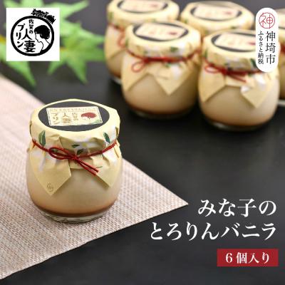 ふるさと納税 神埼市 佐賀の人妻プリン みな子のとろりんバニラ6個詰合せ(H034112)