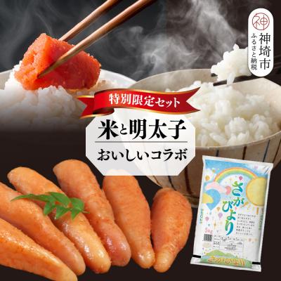 ふるさと納税 神埼市 [2回定期便]特別限定セット さがびよりと明太子 おいしいコラボ(H996P118)