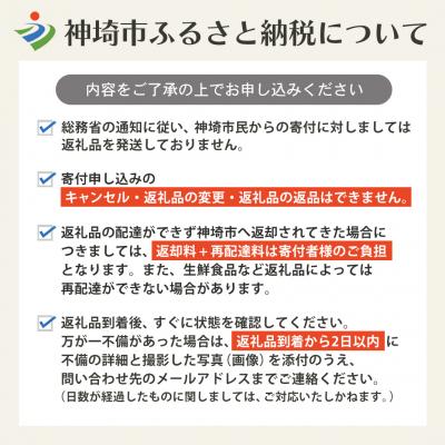 ふるさと納税 神埼市 【2回定期便】特別限定セット さがびよりと明太子 おいしいコラボ(H996P128)_3