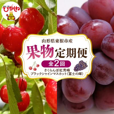 ふるさと納税 東根市 [2026年 全2回定期便]さくらんぼ紅秀峰、ブラックシャインマスカット富士の輝 hi074-018