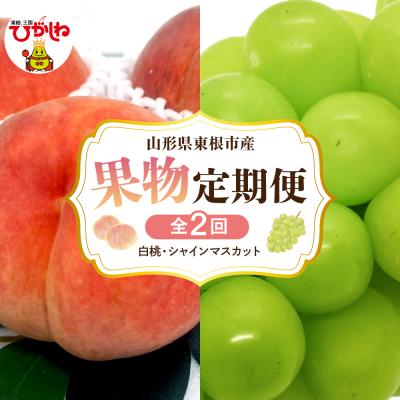 ふるさと納税 東根市 [2026年 全2回 定期便]桃、シャインマスカット 定期便(玉数、房数お任せ)hi074-020