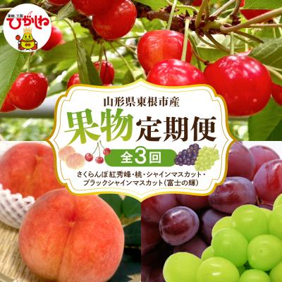 ふるさと納税 東根市 [2026年 全3回 定期便]GI東根さくらんぼ、白桃、大粒ぶどう詰め合わせ hi074-019