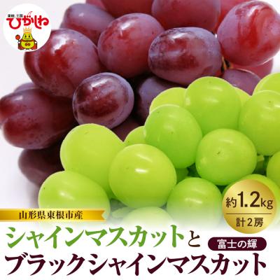 ふるさと納税 東根市 [2026年産]シャインマスカットと「富士の輝」の詰め合わせ約1.2kg hi074-017