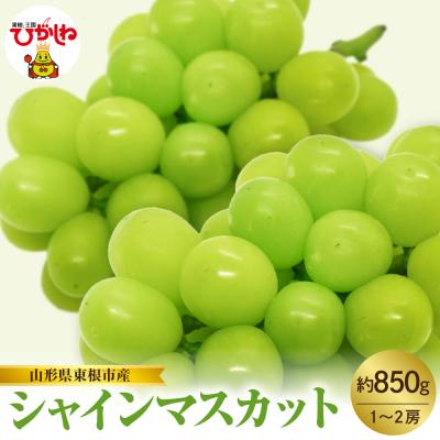 ふるさと納税 東根市 [2026年産]東根市産 シャインマスカット 約850g (1〜2房) hi074-016