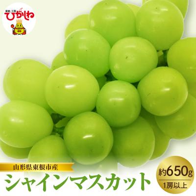 ふるさと納税 東根市 [2026年産]東根市産 シャインマスカット 約650g hi074-015