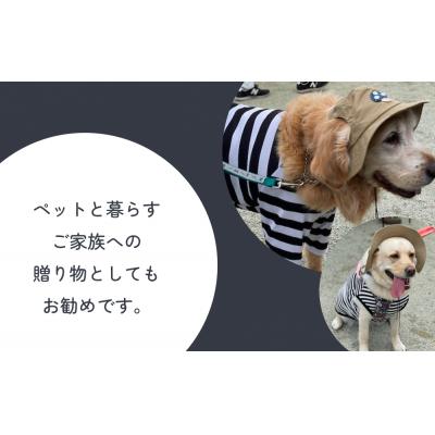 ふるさと納税 石巻市 きのこ アウトドアハット ネイビーM ペット グッズ 撥水 帽子 キャップ 男の子 女の子の画像