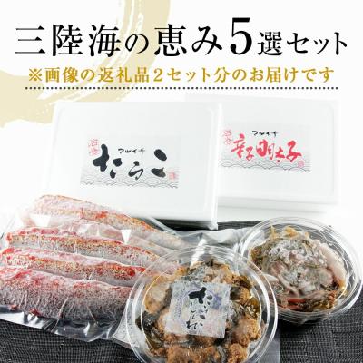 ふるさと納税 石巻市 マルイチの三陸海の恵み 5種セット ダブル たらこ 明太子 松前漬け さんまの明太漬け しぐれ煮