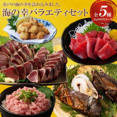 ふるさと納税 室戸市 室戸の海の幸バラエティセット 5種詰め合わせ 33,000円コース