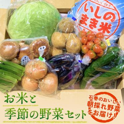 ふるさと納税 石巻市 石巻産 お米と季野菜セット 朝採れ 旬の野菜 季節の野菜 お野菜 米 詰め合わせ 新鮮