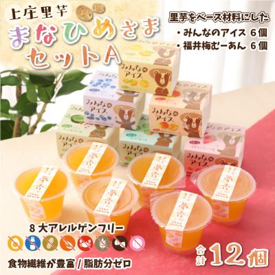 ふるさと納税 大野市 [アレルギー対応スイーツ]まなひめさまセットA(アレルギー特定原材料8品目不使用)